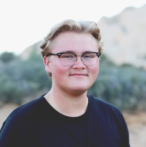 Employee in a sunny office with a green plant
